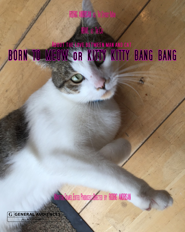 Born to Meow or Kitty Kitty Bang Bang (2020)